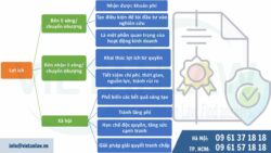 Li xăng/ Chuyển nhượng quyền sở hữu trí tuệ