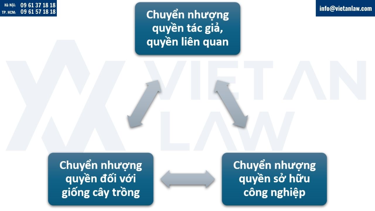 Những quyền sở hữu trí tuệ nào có thể chuyển nhượng