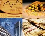 Báo cáo năng lực tài chính của nhà đầu tư