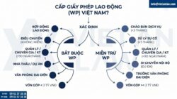 Các trường hợp nào phải cấp giấy phép lao động tại Việt Nam?