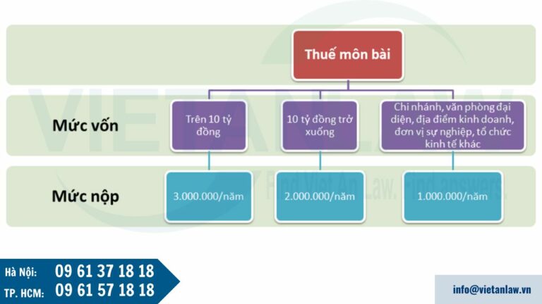 Kê khai và nộp thuế môn bài