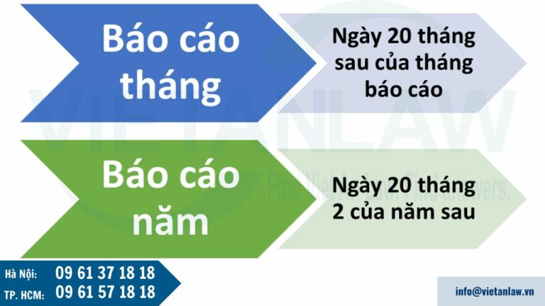 báo cáo doanh nghiệp kinh doanh lữ hành