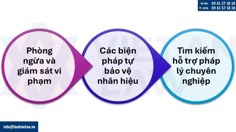 Hướng dẫn các hành động pháp lý cho chủ sở hữu nhãn hiệu