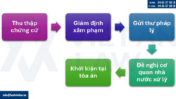 Xử lý vi phạm nhãn hiệu