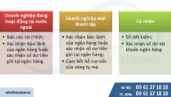 Báo cáo năng lực tài chính của nhà đầu tư