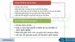 Hướng dẫn mới về bảo hiểm tai nạn lao động (TNLĐ), bệnh nghề nghiệp