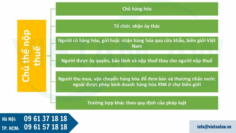 Người nộp thuế xuất khẩu, thuế nhập khẩu