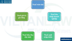 Tư vấn pháp luật thuế cho công ty có vốn nước ngoài