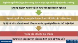 Tỷ lệ sở hữu vốn của nhà đầu tư nước ngoài