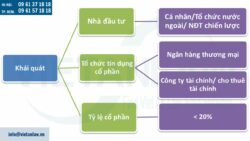 Nhà đầu tư nước ngoài mua cổ phần của tổ chức tín dụng Việt Nam