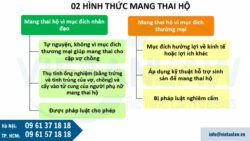 Mang thai hộ tại Việt Nam