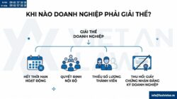 Các trường hợp giải thể công ty