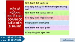 Bãi bỏ nhiều ngành nghề kinh doanh có điều kiện năm 2025