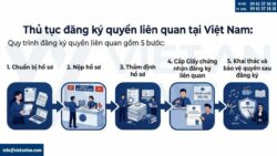 Đăng ký quyền liên quan đến quyền tác giả: Hồ sơ, thủ tục và quy định mới nhất 2026