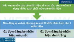 Đăng ký nhãn hiệu đen trắng hay màu?