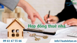 Soạn thảo hợp đồng cho thuê căn hộ chung cư