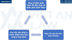Người nước ngoài góp vốn vào công ty phần mềm