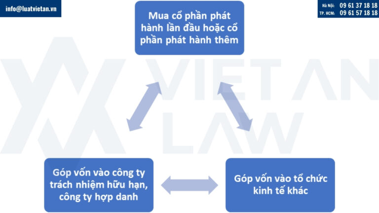 Hình thức để người góp vốn vào công ty phần mềm tại Việt Nam