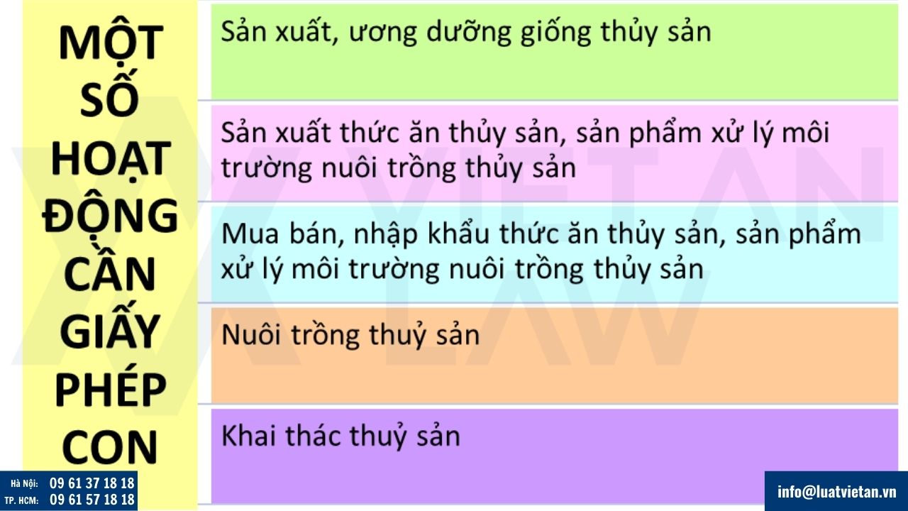 ngành, nghề kinh doanh thuỷ sản cần giấy phép con