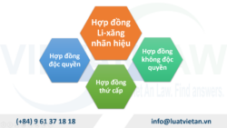 Hợp đồng Li-xăng chuyển quyền sử dụng nhãn hiệu