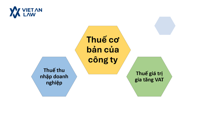 Các loại thuế cơ bản phải kê khai và đóng sau khi thành lập công ty