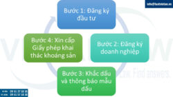 Nhà đầu tư nước ngoài thành lập công ty khai thác khoáng sản