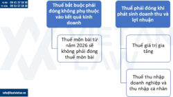 Các loại thuế phải đóng sau khi thành lập công ty