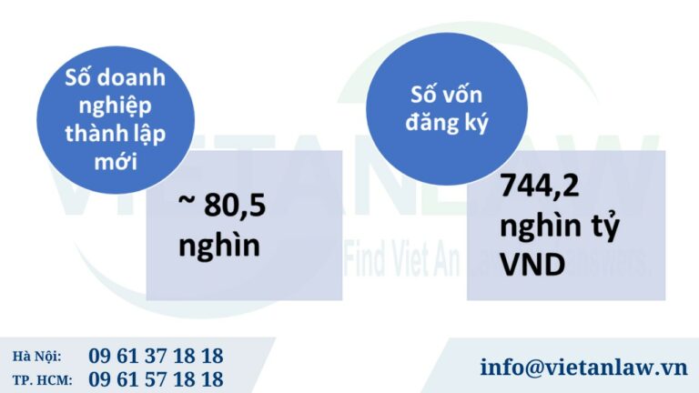 Tình hình 6 tháng đầu năm 2024