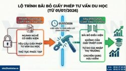 Bãi bỏ thủ tục cấp Giấy phép tư vấn du học từ 01/07/2026