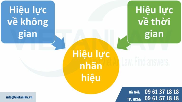 Hiệu lực của nhãn hiệu