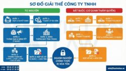Giải thể công ty Trách nhiệm hữu hạn (TNHH)