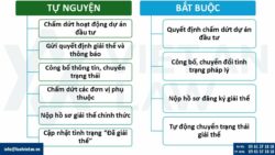 Giải thể doanh nghiệp FDI