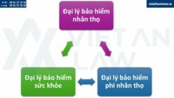 Thành lập công ty kinh doanh dịch vụ đại lý bảo hiểm