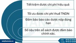 Dịch vụ báo cáo tài chính