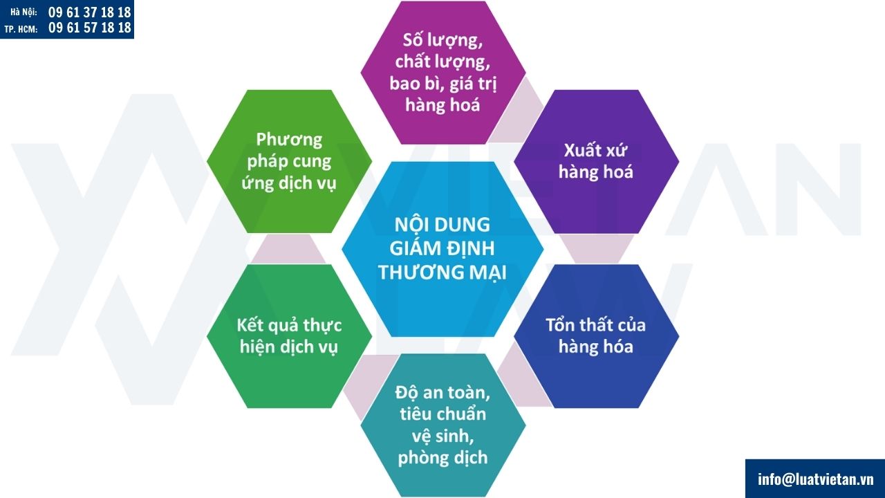 hoạt động giám định thương mại