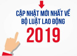 Bộ luật lao động 2019