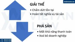 Giải thể doanh nghiệp và phá sản khác nhau thế nào?