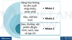 Giấy phép kinh doanh thực hiện phân phối bán lẻ hàng hóa của công ty vốn nước ngoài