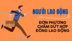 Người lao động đơn phương chấm dứt hợp đồng lao động