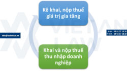 Kê khai thuế cho địa điểm kinh doanh