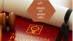 Khi nào Đơn đăng ký nhãn hiệu được coi hợp lệ về hình thức?