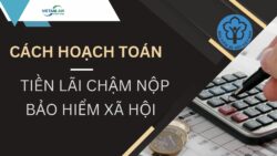 Cách hạch toán tiền lãi chậm nộp bảo hiểm xã hội