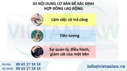 Hợp đồng học việc có phải đóng BHXH không?