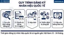 Đăng ký nhãn hiệu quốc tế 2026: Quy trình & Chi phí