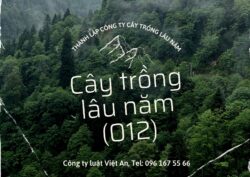 Thành lập công ty kinh doanh và trồng cây lâu năm