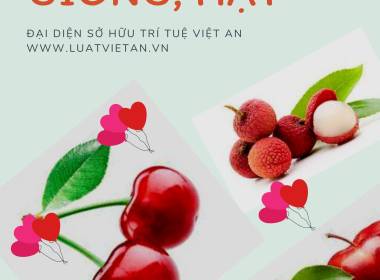 CHỈ DẪN ĐỊA LÝ