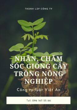 Thành lập doanh nghiệp nhân và chăm sóc cây giống nông nghiệp