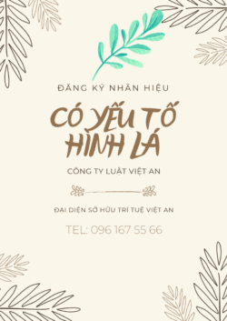 Lớp, nhóm, phân nhóm khi đăng ký nhãn hiệu hình lá