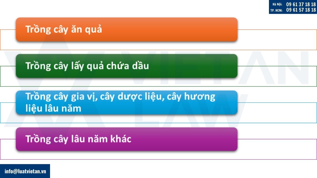 Mã ngành nghề kinh doanh và ngành trồng cây lâu năm