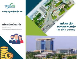 Dịch vụ thành lập công ty cổ phần hoặc TNHH tại Bình Dương